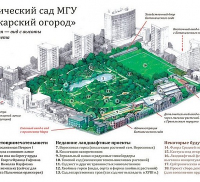 Москва аптекарский огород схема